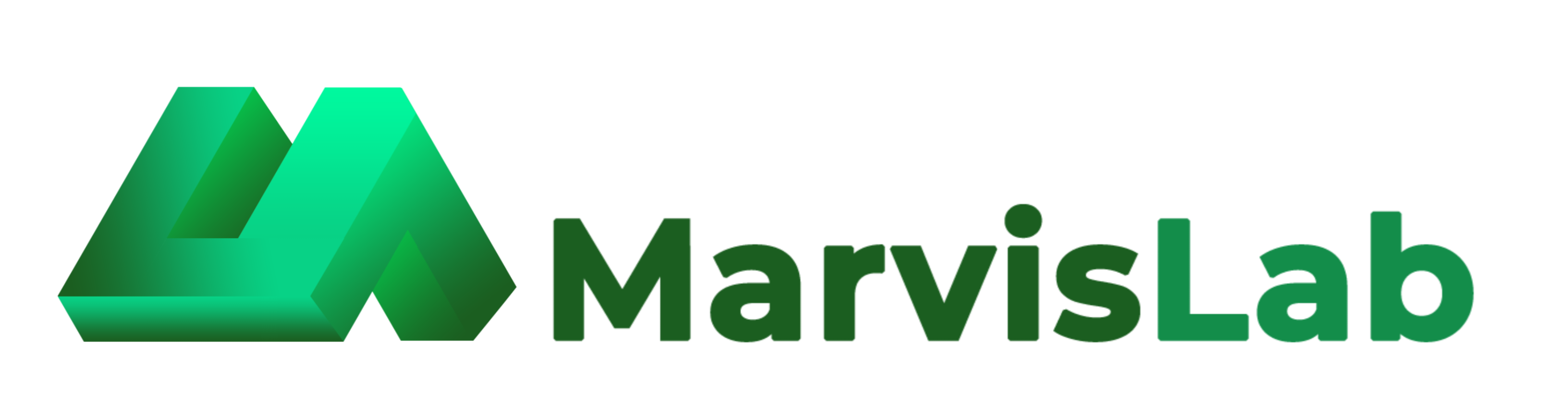MarvisLab